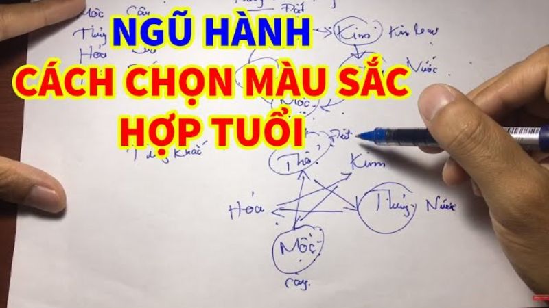 Có nên tin vào việc xem màu mạng gà đá không?