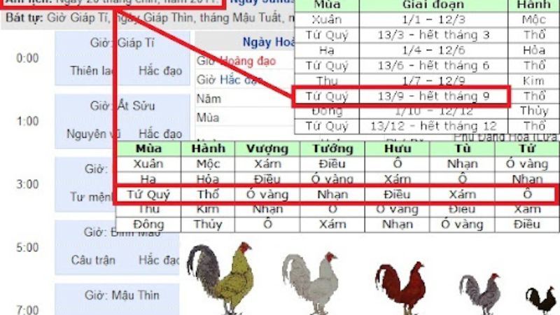 Những chú gà dành cho người mệnh Hỏa phải có gam màu nóng như đỏ, cam, hồng, tím.